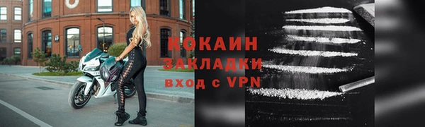 индика Нягань
