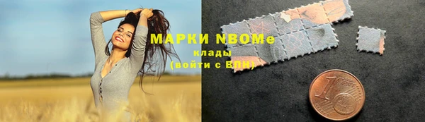 индика Нягань