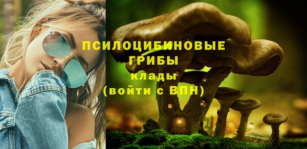 кокс Осинники