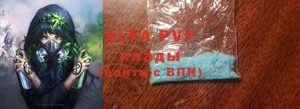 индика Нягань