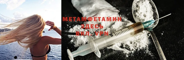 индика Нягань