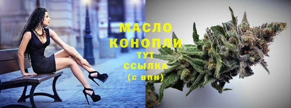 индика Новозыбков