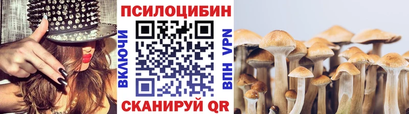 купить закладку Новокубанск OMG как войти Галлюциногенные грибы GOLDEN TEACHER