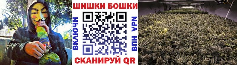 MEGA ССЫЛКА  Новокубанск  Шишки марихуана ГИДРОПОН  купить  